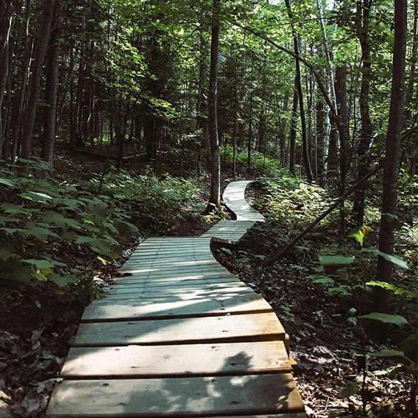 hike